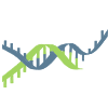 RNA Sequence Icon